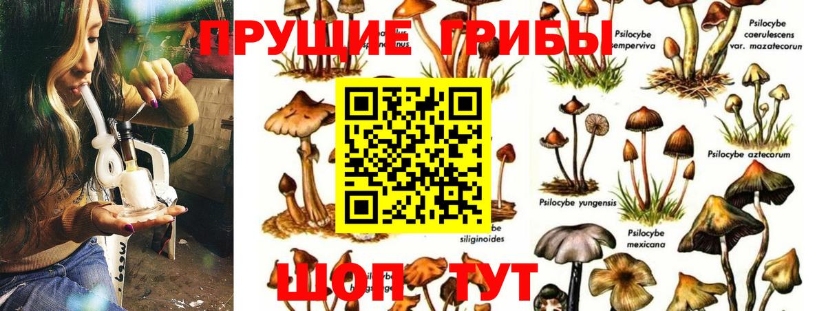 Галлюциногенные грибы Magic Shrooms  Вход с VPN  Владивосток  Галлюциногенные грибы Magic Shrooms 